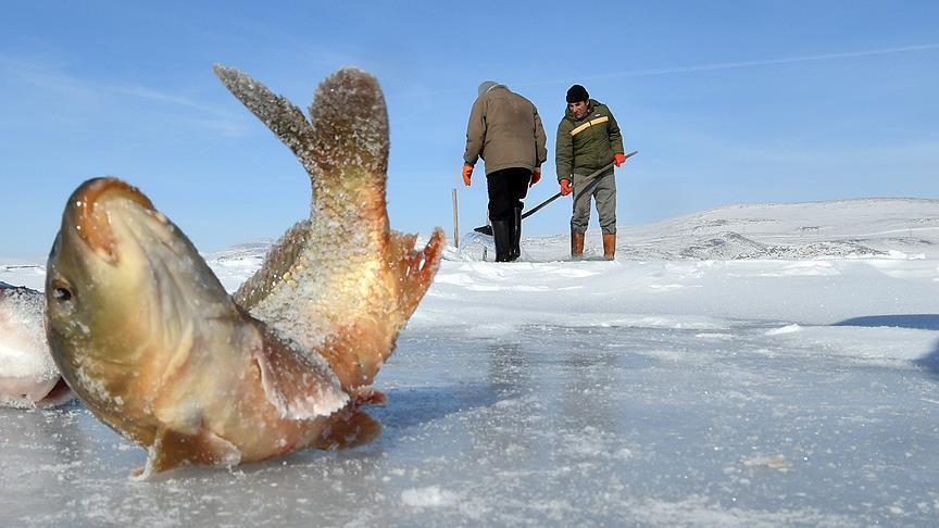 الصيد بطريقة "الإسكيمو" لمواجهة تجمد بحيرة شرقي تركيا