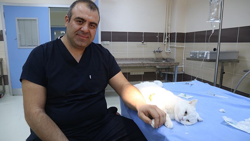 pasa ya rahat nefes aldiran operasyon