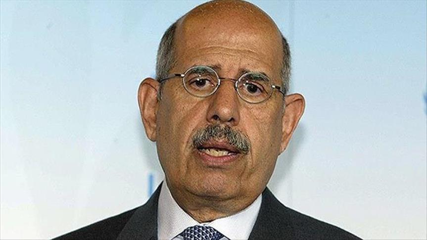 Egypt's ElBaradei slams proposed charter changes
