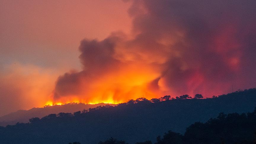 Yeni Zelanda'daki orman yangınında acil durum ilan edildi 