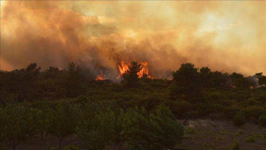 Chile declara estado de excepción en tres zonas del país por incendios forestales