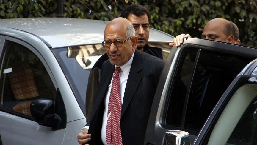 Egypt's ElBaradei warns against constitutional change