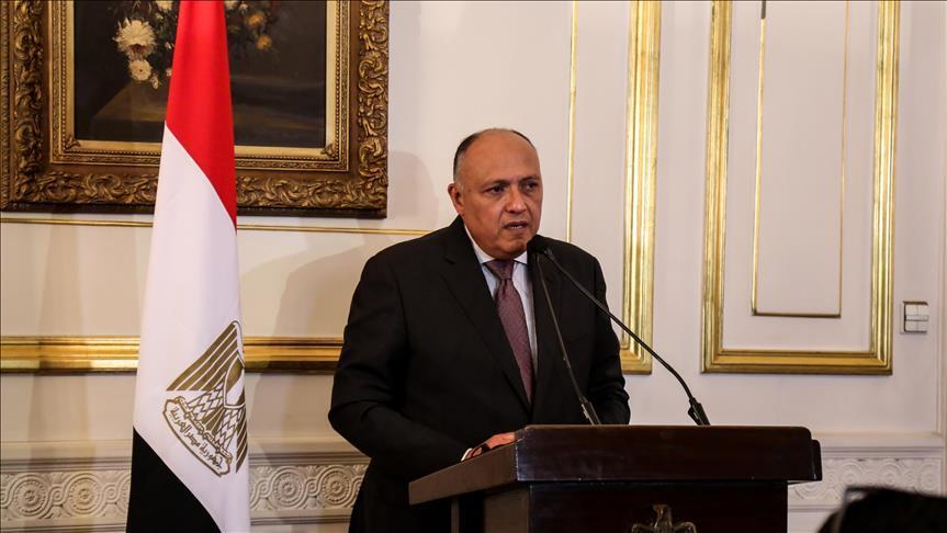 Egypt, Djibouti FMs discuss Red Sea security