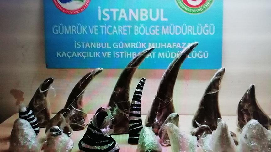 Turkey: 21 rhino horns seized at Istanbul airport