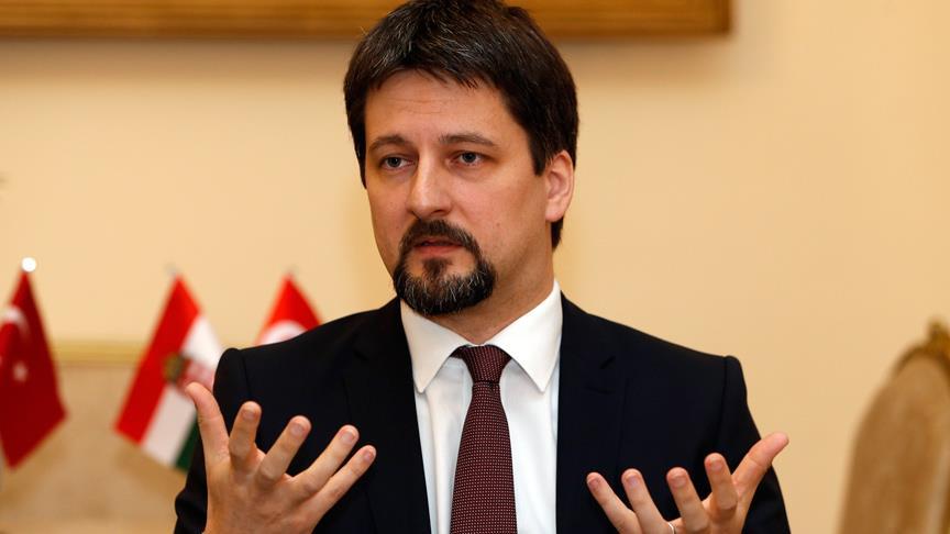 'Türkiye ile Macaristan arasındaki iş birliği güçlenecek'