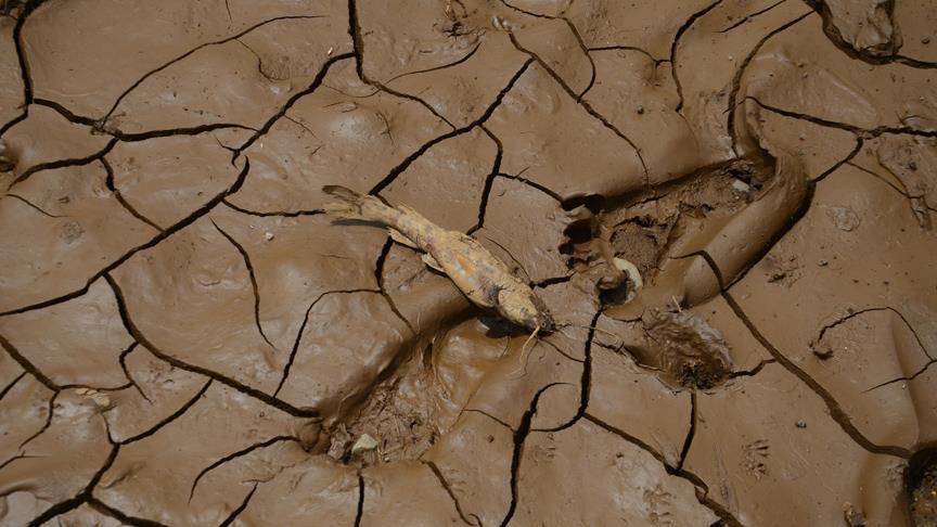  الجفاف يلقي بـ 4 ملايين صومالي بين أنياب المجاعة (تقرير)