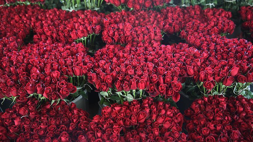 Valentine’s blossoms worth $475M sold in Turkey yearly