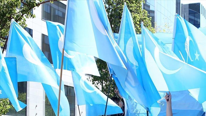 Turkey helps publicize Uighur plight in China: activist