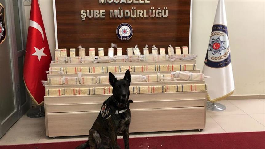 More than 30 kg of heroin seized in eastern Turkey
