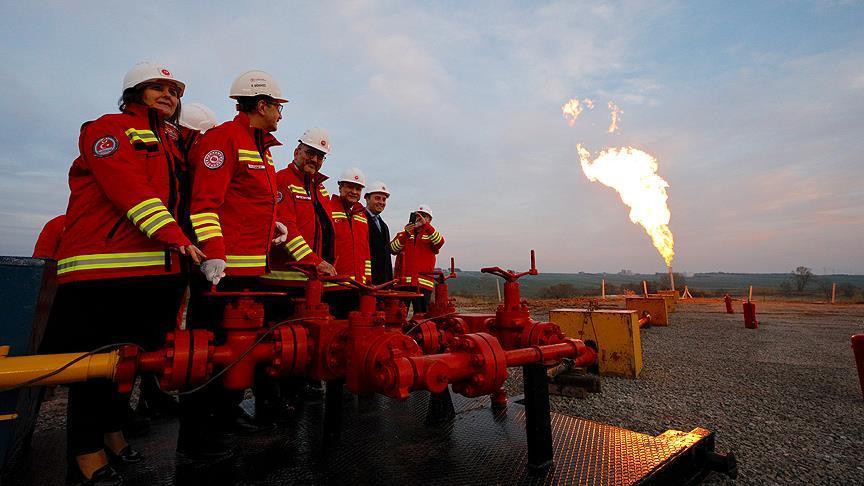 Турецкая TPAO наращивает объемы добычи нефти и газа