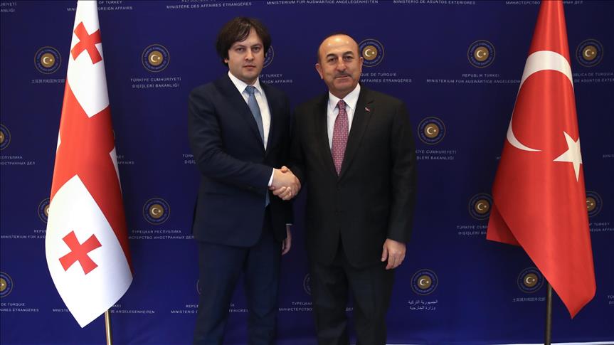 دیدار چاووش‌اوغلو با رئیس مجلس گرجستان