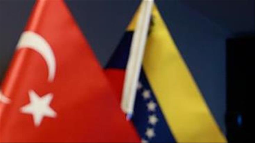 Turkey supports Venezuela's democracy: Turk-Ven. group