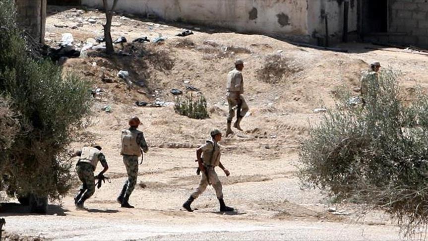 پانزده سرباز مصری در صحرای سینا کشته یا زخمی شدند 