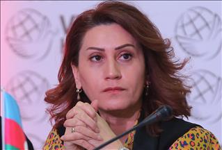 هنرمند آذربایجانی: مردم قره باغ و سوریه درد مشترک دارند