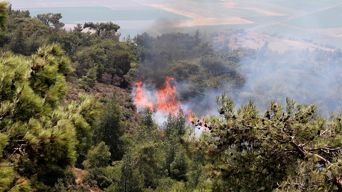 Terör örgütü PKK orman yakıp şantiyelere saldırdı