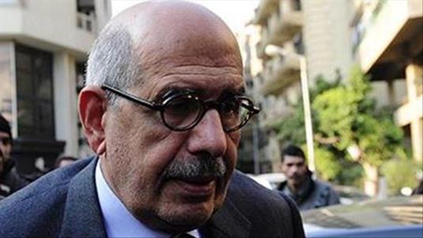 Egypt’s ElBaradei urges health care to jailed former MP