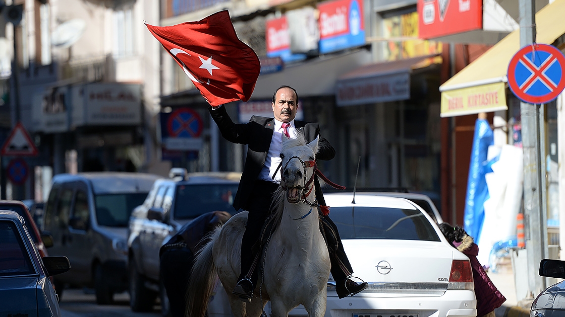 Dört nala seçim çalışması
