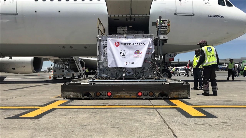 Turkish Airlines moves circus lions to natural habitat