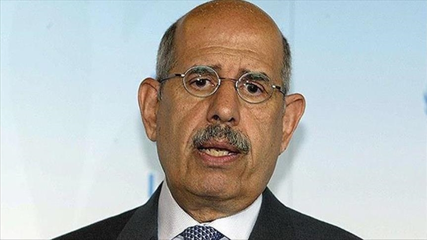 Egypt's ElBaradei slams denying visits to ex-president