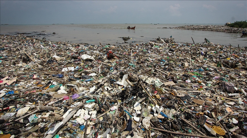 ONU registra avances en lucha contra los problemas ambientales