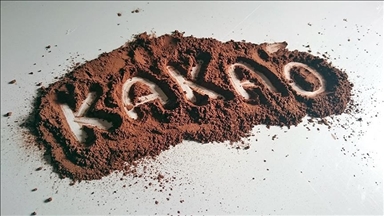 مشروب الكاكاو يحد من التعب المرتبط بالتصلب المتعدد (دراسة)