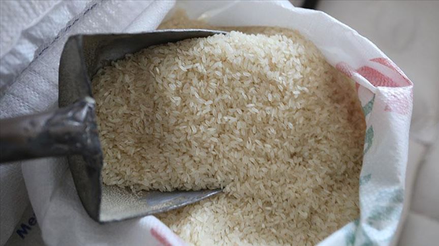 نيجيريا تتخطى مصر كأكبر منتج للأرز في أفريقيا