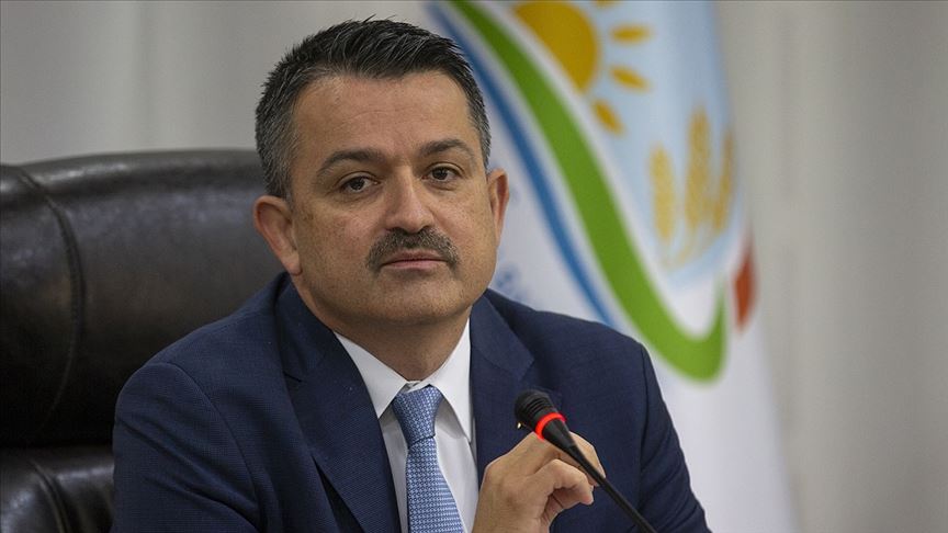 Tarım ve Orman Bakanı Pakdemirli: Patates ekiminin yasaklandığı iddiası doğru değil