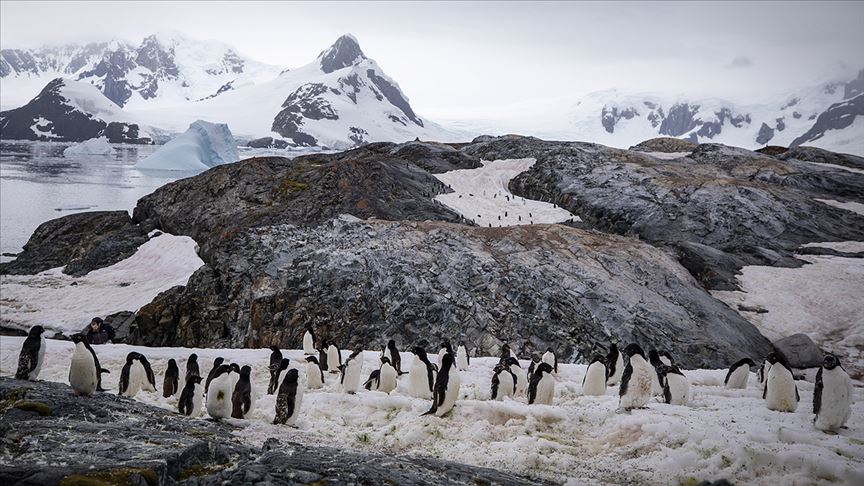Dünyanın en soğuk kıtası: Antarktika