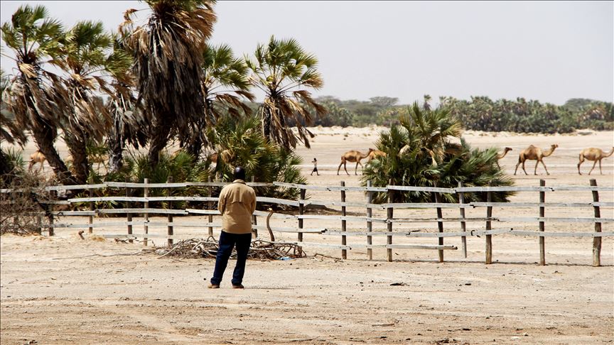 9 die as drought and hunger hits northern Kenya