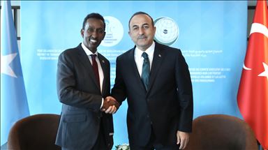 Turkish, Somali foreign ministers meet in Istanbul