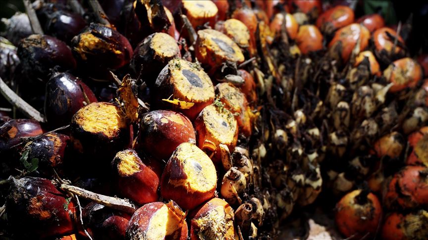 Malaysia balas aksi Uni Eropa dengan membeli produk China