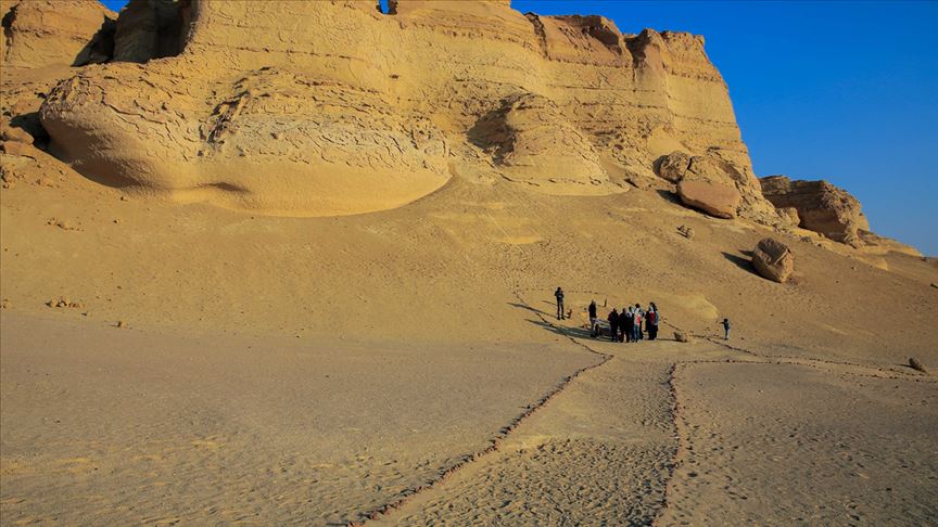 وادي الحيتان.. "سحر" يحكي قصة ملايين السنين بمصر 