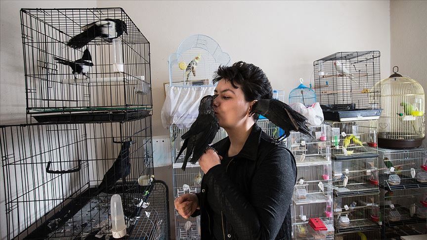 حیوان دوست ترکیه‌ای حیوانات بیمار را در خانه خود درمان می‌کند