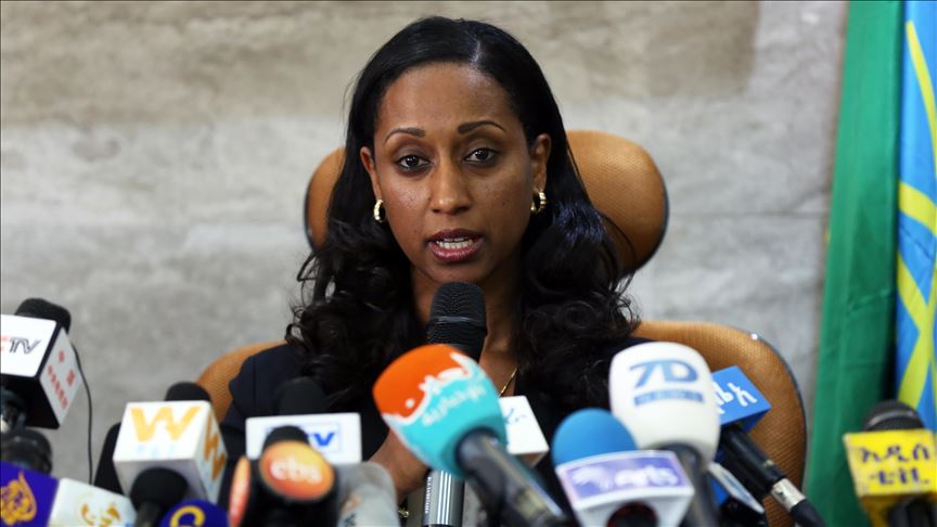 إثيوبيا تطالب "بوينغ" بالتحقق من جهاز تحكم طائرات 737 ماكس