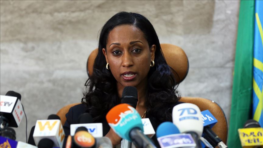 Crash d'un avion de l’Ethiopian Airlines : Le système de contrôle du Boeing 737 max 8 mis en cause