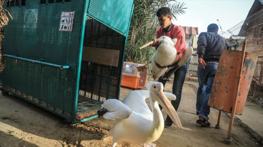 ثالث حديقة حيوان بغزة تَفِر من جحيم الحصار (تقرير)