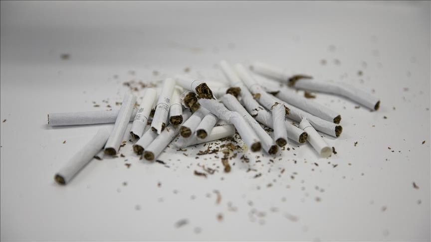 'İnternette 'beğeni sevdası' sigarayla mücadeleye zarar veriyor'