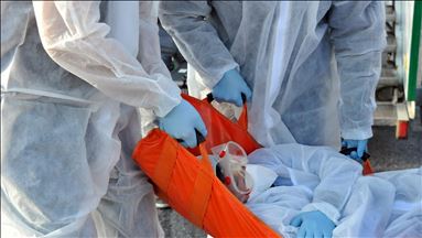 Ebola death toll in DR Congo rises to 655