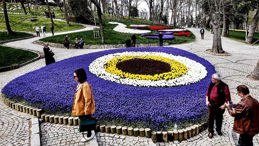 زهور التوليب تزين حدائق إسطنبول