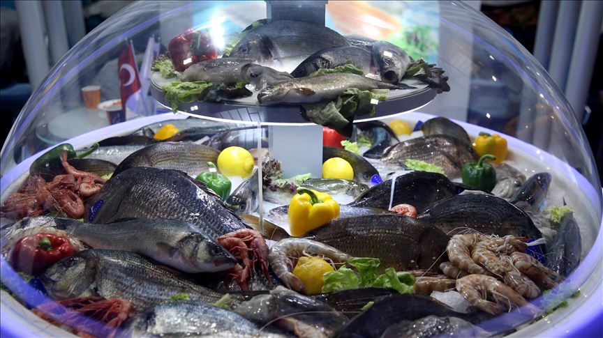 Kerang dari Selat Malaka mengandung logam berat