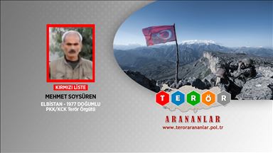Kırmızı listedeki PKK'lı Soysüren etkisiz hale getirildi