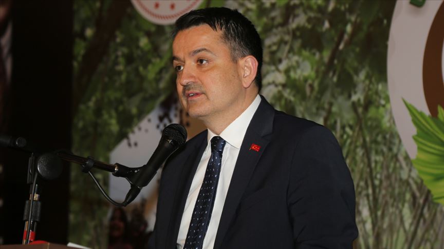 'Döviz girdisinde fındığın Türkiye'ye katkısı minimum 3 milyar dolar olacak'