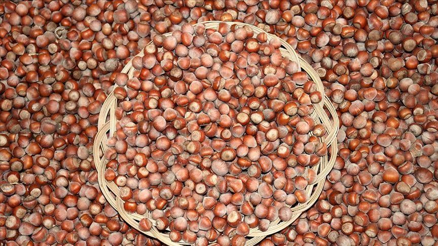 صادرات فندق ترابزون ترکیه به 48 کشور