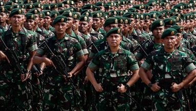 Pemerintah minta TNI tak terprovokasi hoaks Pemilu