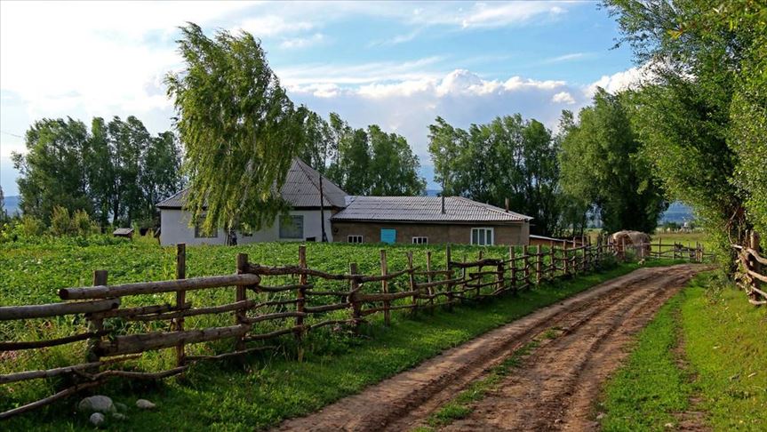 Вдоль границы Кыргызстана с Казахстаном появится «зеленый пояс»
