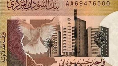 الجنيه السوداني يصعد أمام الدولار في تعاملات الأسواق الموازية
