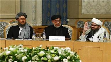 طالبان: نشست قطر مراسم عروسی نیست