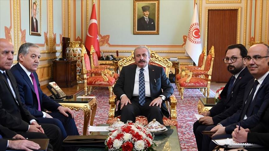 دیدار رئیس مجلس ترکیه و وزیر خارجه تاجیکستان 