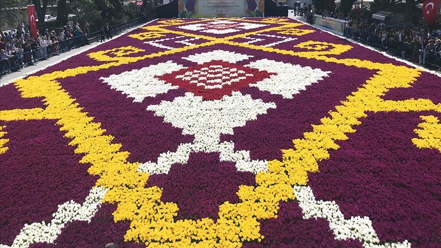 Во Истанбул поставен најголемиот „жив килим“ од лалиња