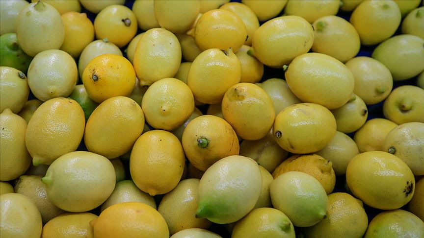 Nisan ayının zam şampiyonu limon